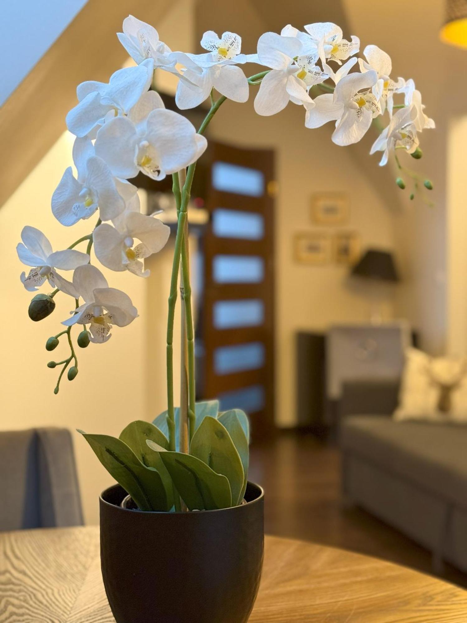 Glamour I Apartament *